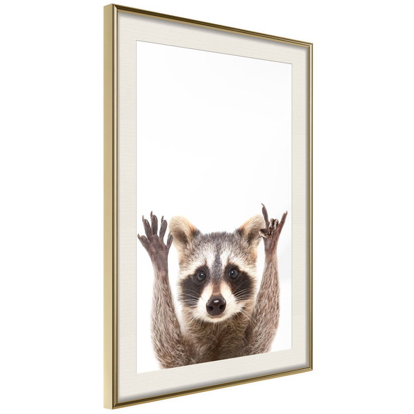 Poster 'Raccoon'
