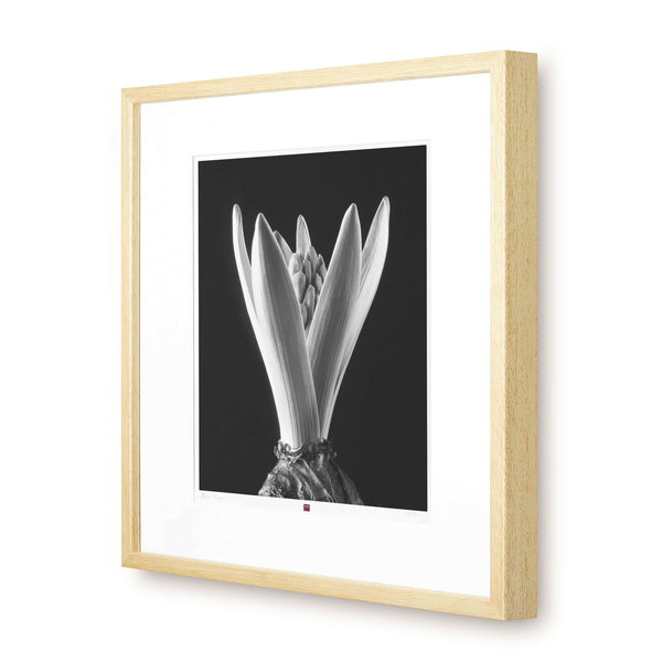 Unsere Flower-Edition als Fotogalerie