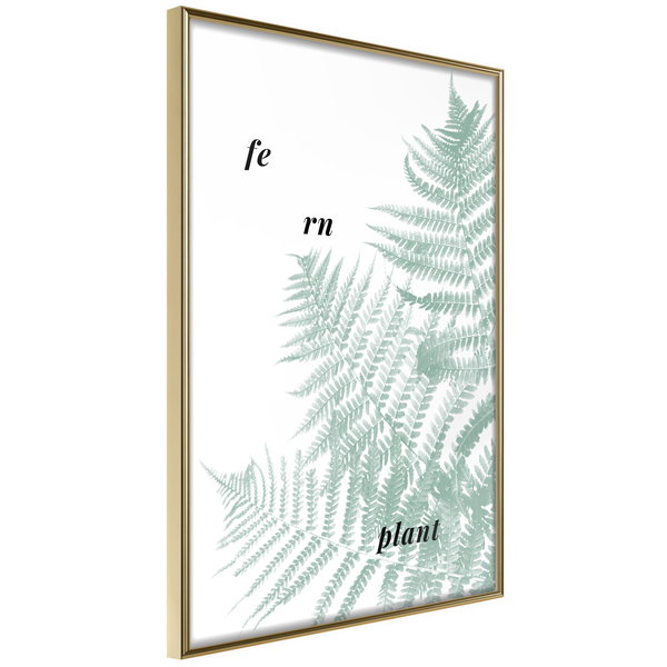 Poster 'Pale Green Fern'