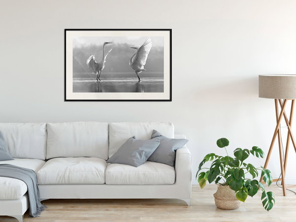 Poster 'Black and White Herons'