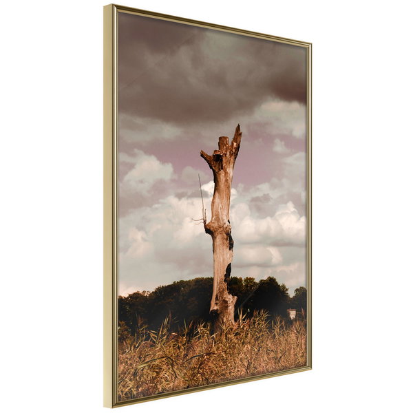 Poster 'Loneliness in Nature'