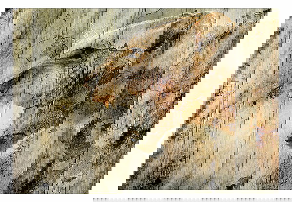 Papel pintado autoadhesivo 'Lion Queen'