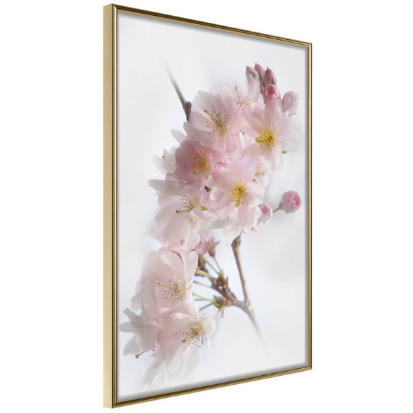 Poster 'Scent of Spring'