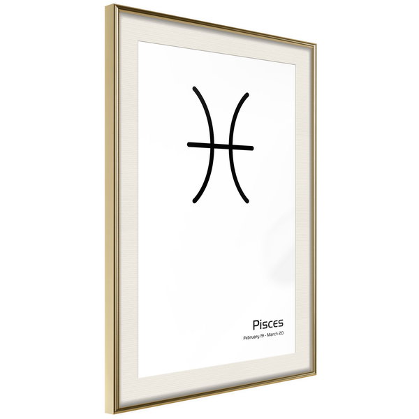 Poster 'Zodiac: Pisces II'
