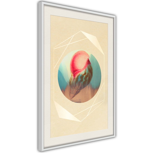 Poster 'Seashell'