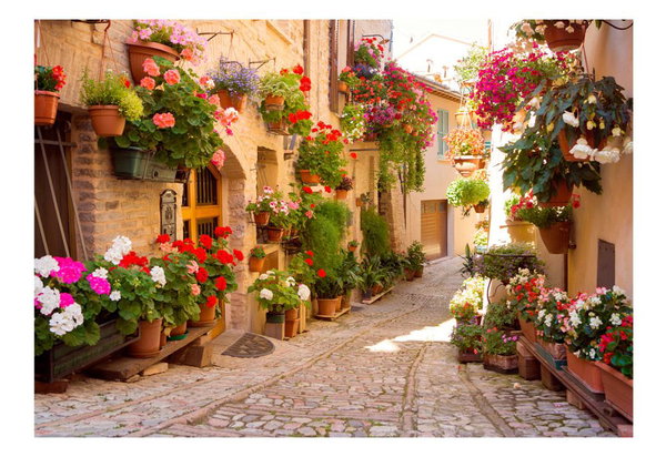 Tapete 'The Alley in Spello (Italy)'