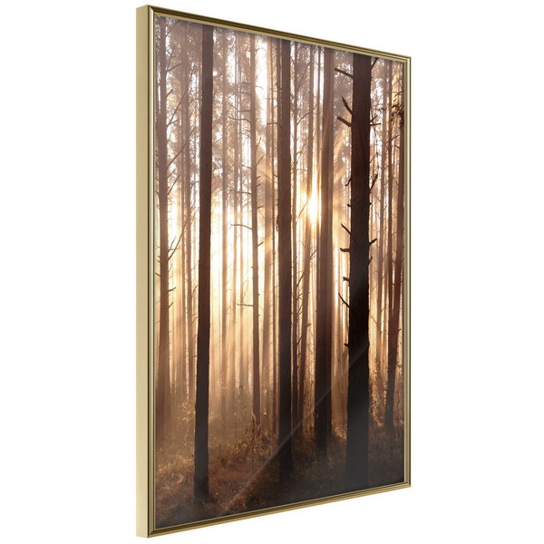 Poster 'Morning in the Forest'