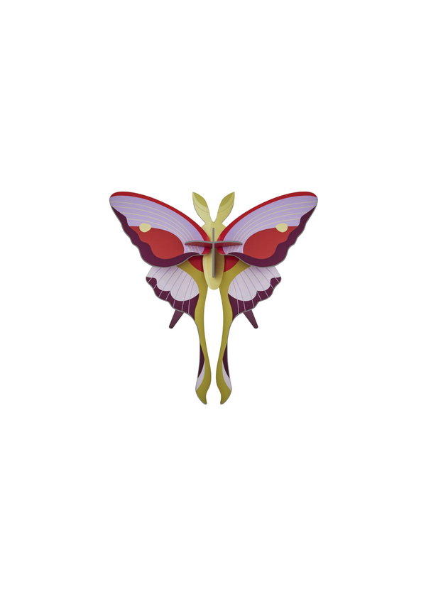 Sculptură de perete din carton 'Elegant Moth Wings'