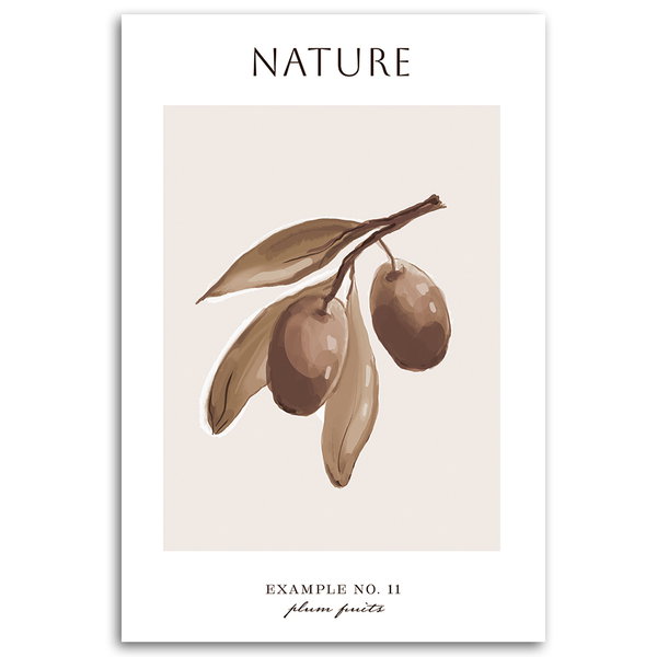 Kunstdruck auf Leinwand 'Plum Fruits'