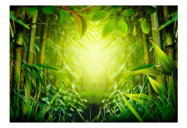 Selbstklebende Tapete 'Forest fairy'