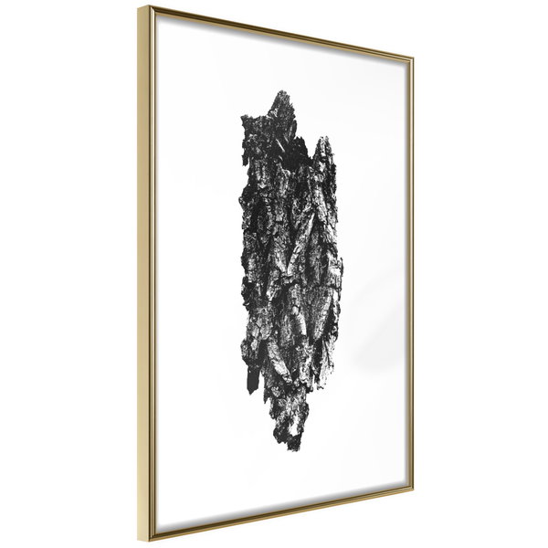 Poster 'Texture of a Tree'