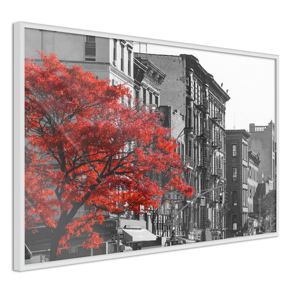 Poster 'Autumn Colours II'