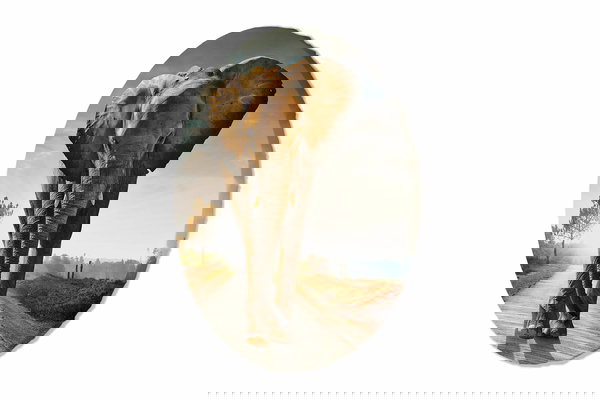 Okrągły obraz 'Gentle Giant'