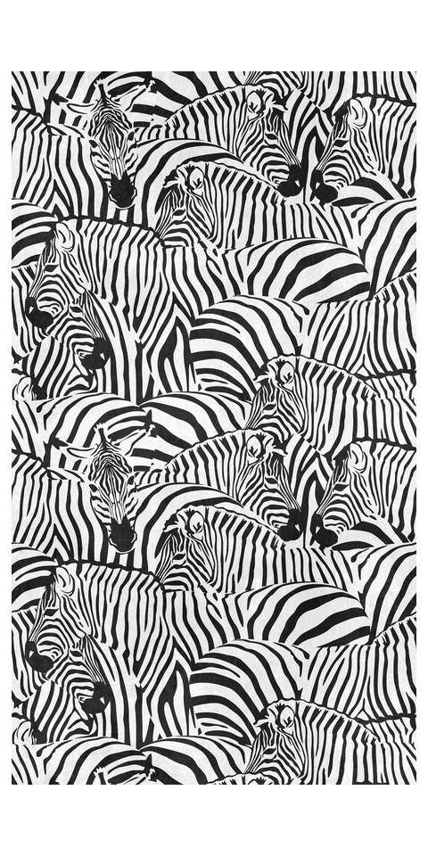 Tapete &#039;Zebra Parade&#039; 159x280cm