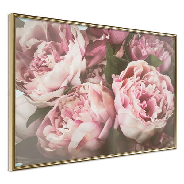 Poster 'Pink Peonies'