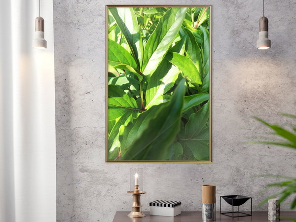 Poster 'Somewhere in the Garden'