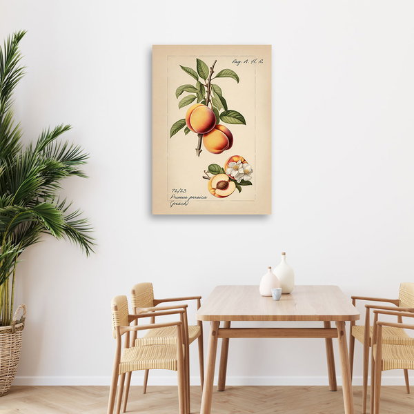 Kunstdruck auf Leinwand 'Peach'