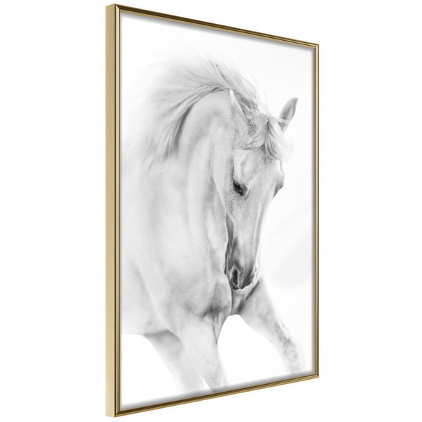 Poster 'White Horse'