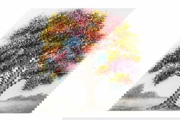 Arte contemporáneo para su hogar