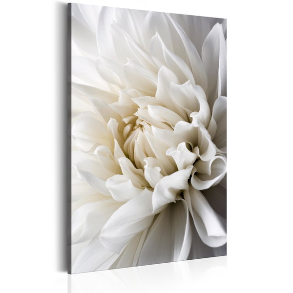 Umjetnički print na platnu 'White Dahlia'