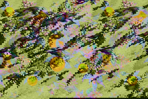 Tapeta 'Grapefruit Tree 1' 400x270cm