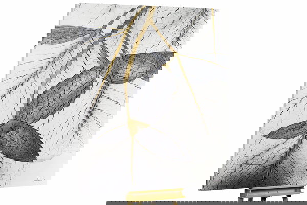 Un ejemplar único para su hogar o puesto de trabajo