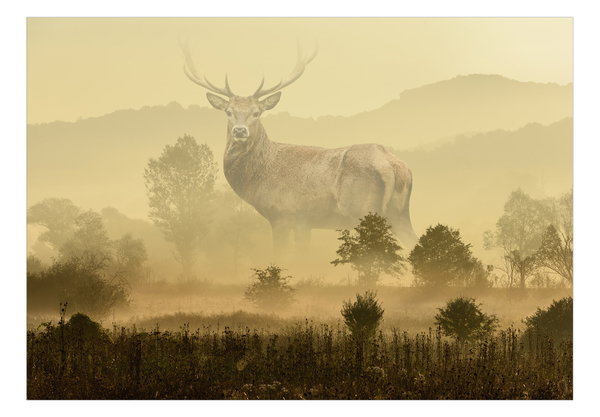 Wallpaper 'Dreamlike Image'