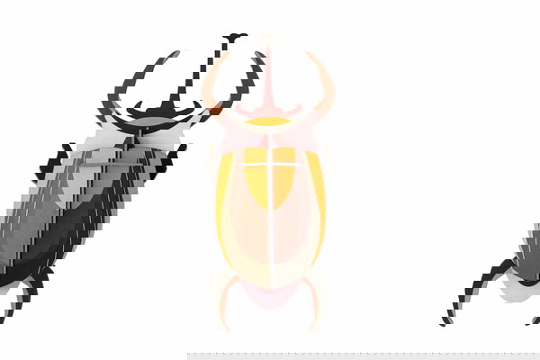 Arte de papel 3D 'Elephant Beetle Decor'