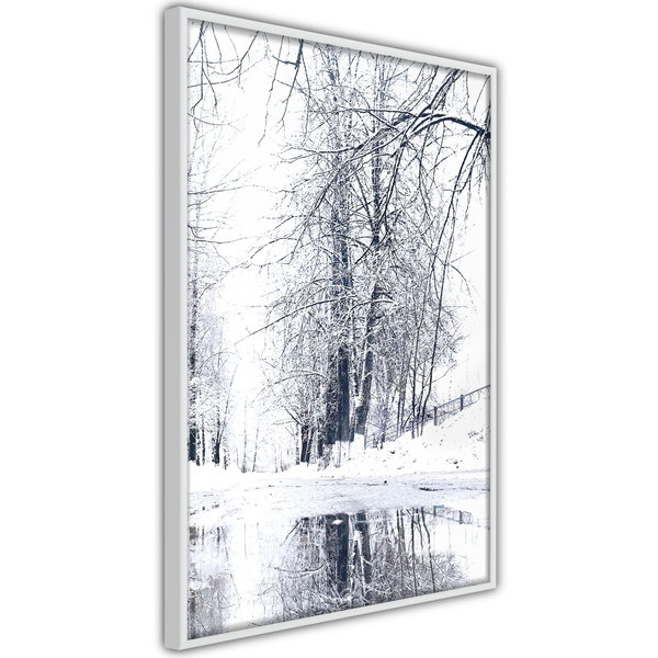 Poster 'Snowy Park'