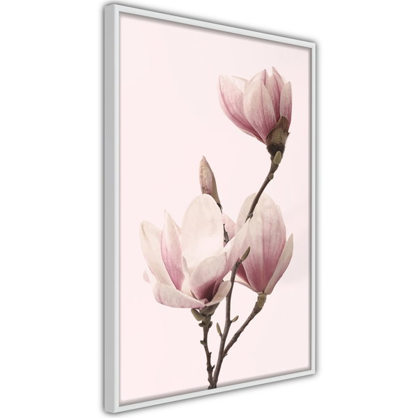 Poster 'Blooming Magnolias III'