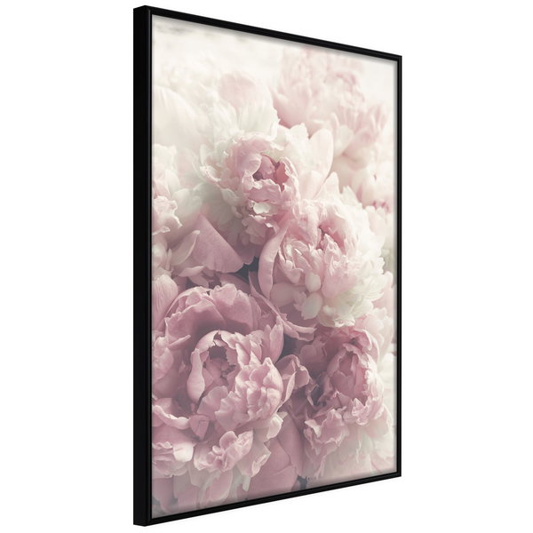 Poster 'Delicate Peonies'