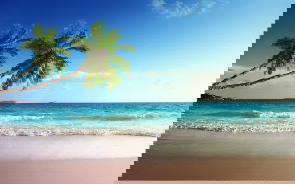 Tapeta 'Tropical Sea 2' 400x267cm