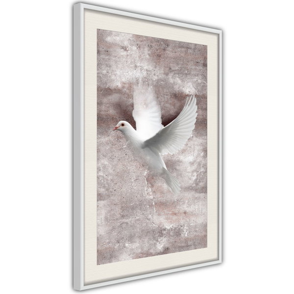 Poster 'White Dreams'