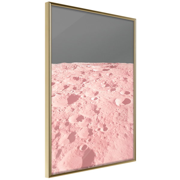 Poster 'Pink Moon'
