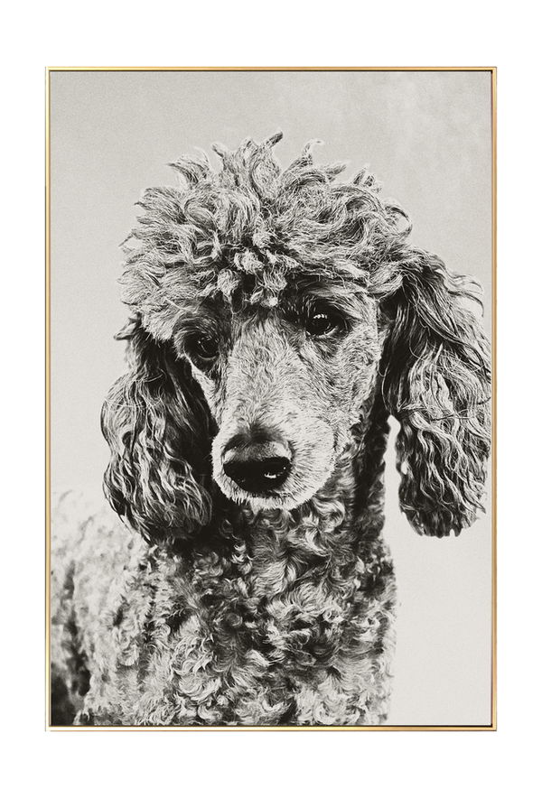 Taiteellisia tilannekuvia