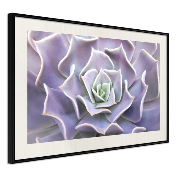 Poster 'Like a Flower'