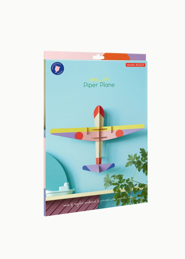 3D Wandobject gemaakt van karton 'Bright Plane Model'