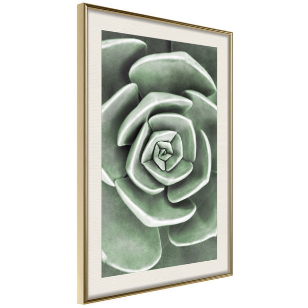 Poster 'Robust Plant'