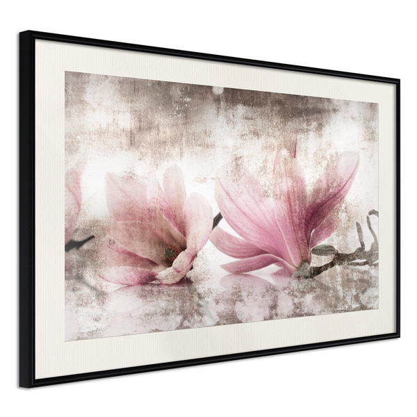 Poster 'Picked Magnolias'