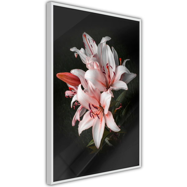 Poster 'Pale Pink Lilies'
