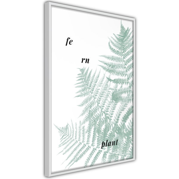 Poster 'Pale Green Fern'