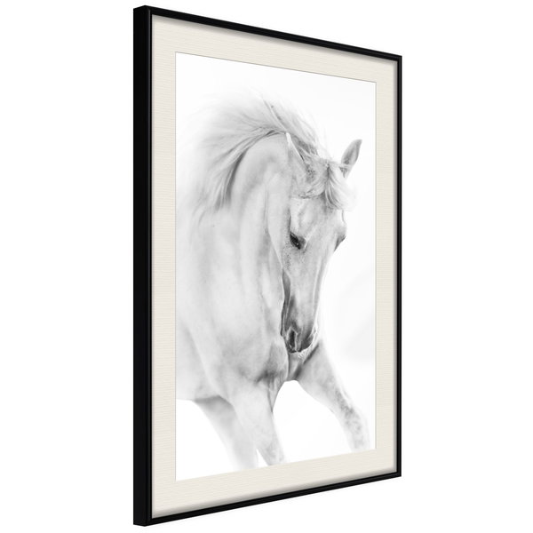 Poster 'White Horse'