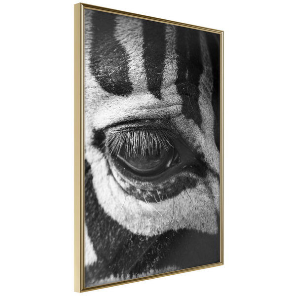 Poster 'Zebra Is Watching You'