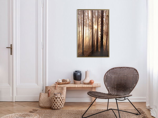 Poster 'Morning in the Forest'