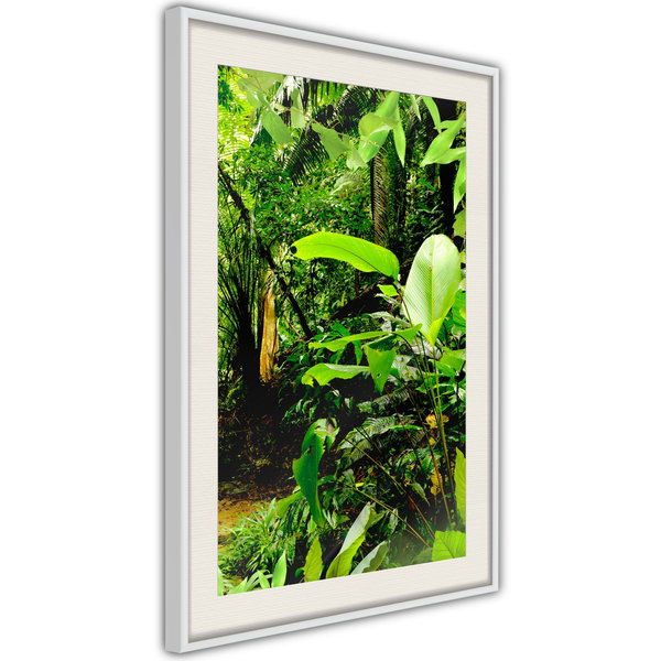Poster 'In the Rainforest'
