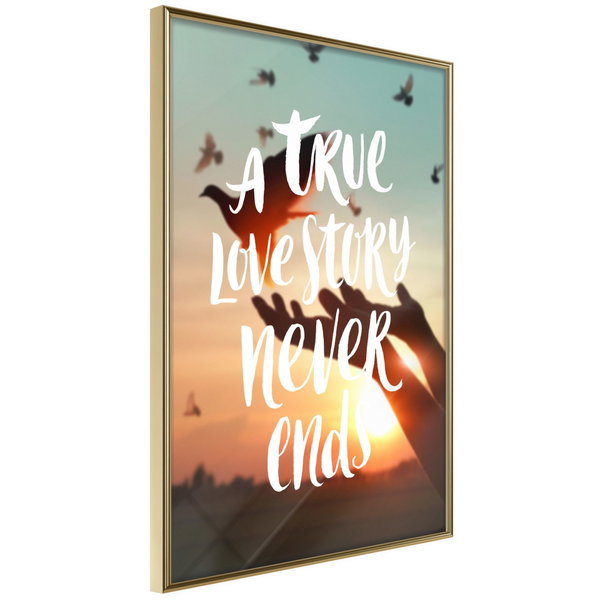 Poster 'Love Story'