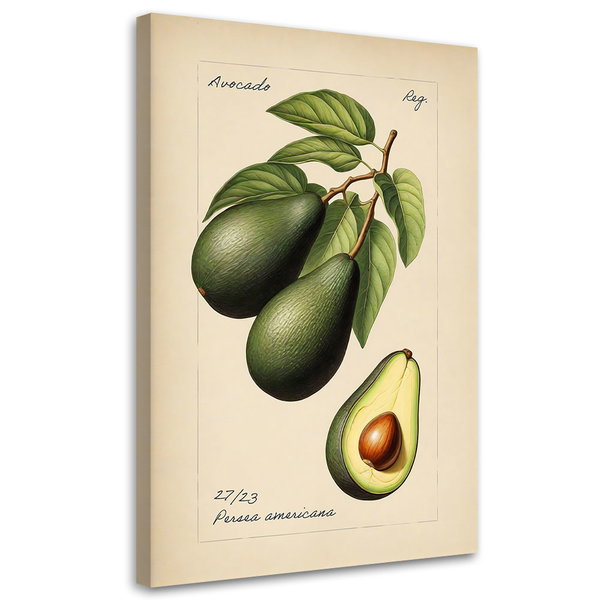 Kunstdruck auf Leinwand 'Avocado'