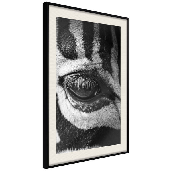 Poster 'Zebra Is Watching You'