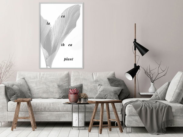 Poster 'Calathea Leaves'