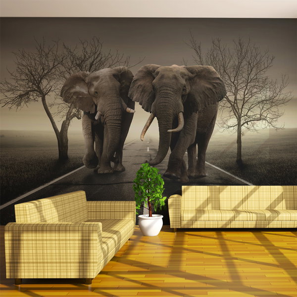 Wallpaper 'City of elephants'